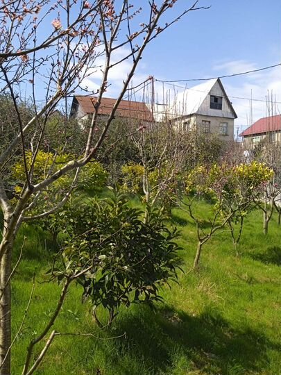 Участок 5 сот. (ИЖС)