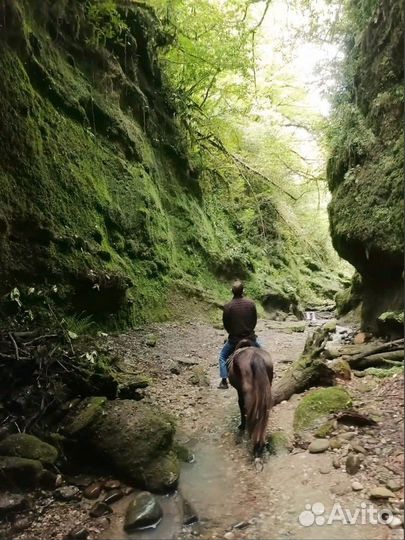 Тур в Абхазию