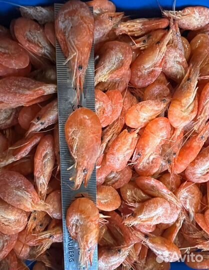 Креветка черноморская вареная