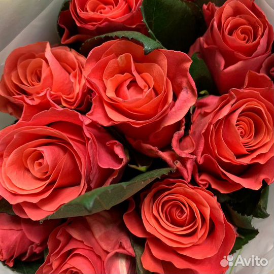 Букет из роз Pink Tacazzi Премиум 60 см