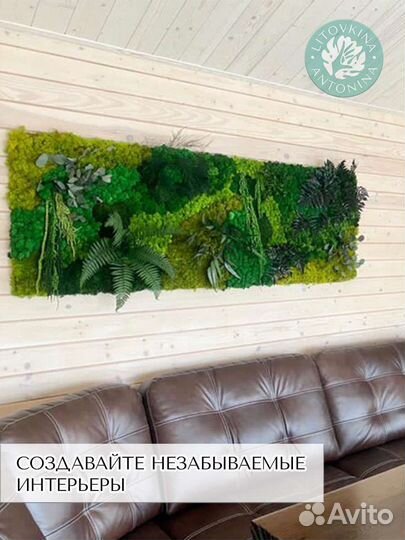 Стабилизированный мох 0.5 кг от производителя