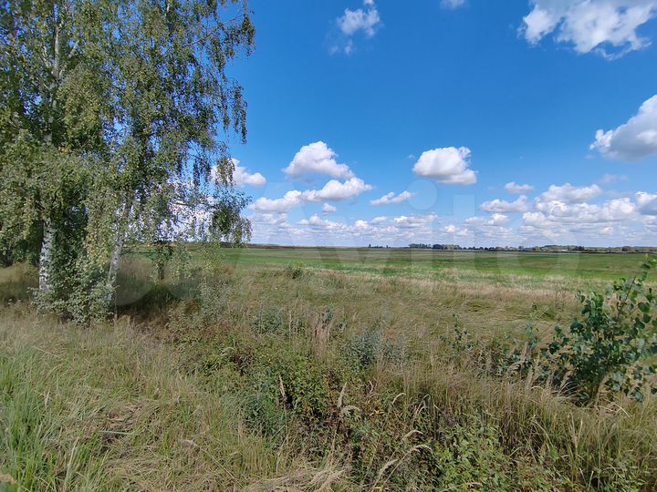 Участок 4,1 сот. (СНТ, ДНП)