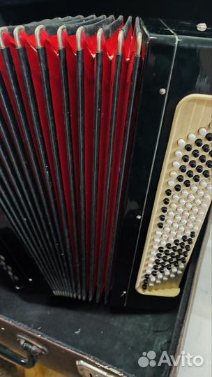 Баян тульский