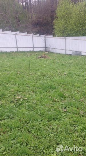 Забор из профлиста