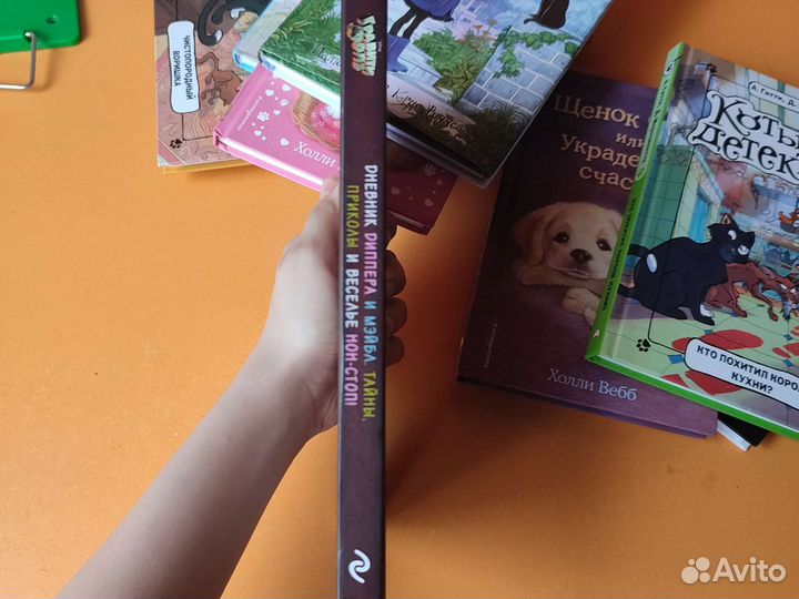 Книга Гравити Фолз дневник диппера и мэйбл