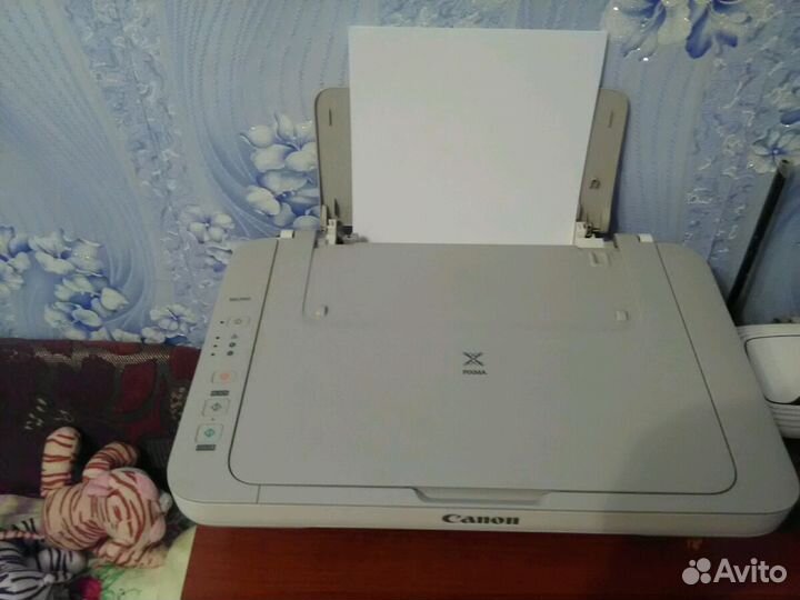 Принтер Canon MG2440 pixma