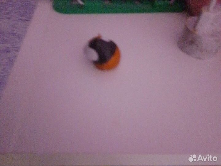 Хомяк