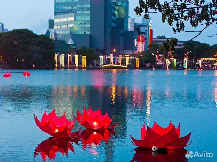 Экскурсия — Коломбо — Коломбо— Шри-Ланка вминиатюр