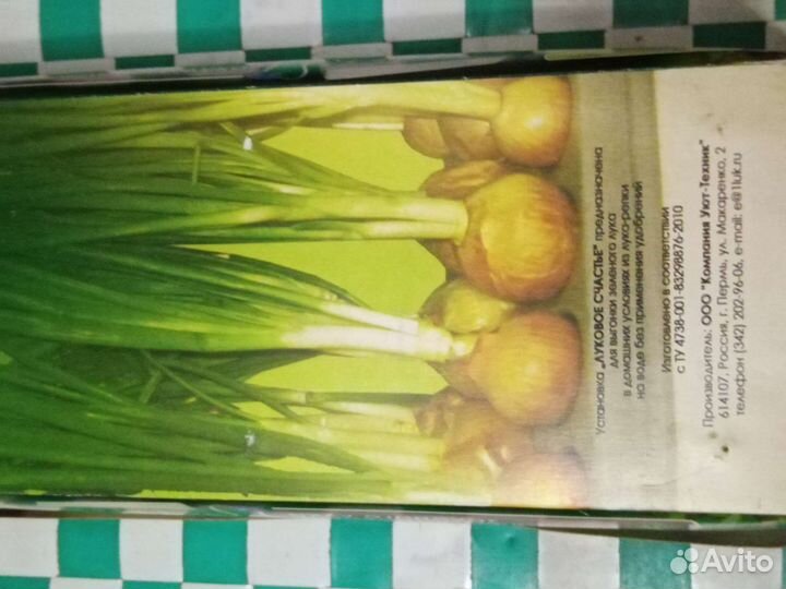 Луковое Счастье-для выгонки зелени