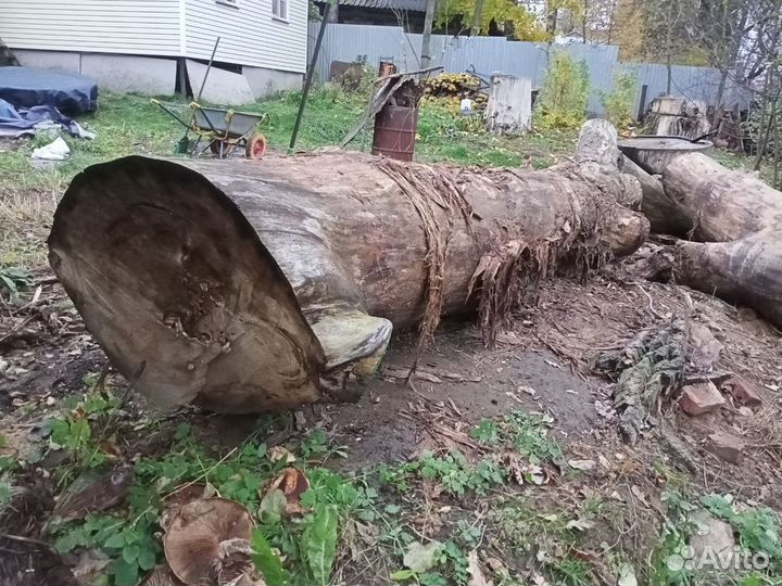 Дерево на слэбы
