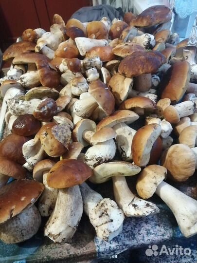 Грибы сушёные, маринованные и замороженные