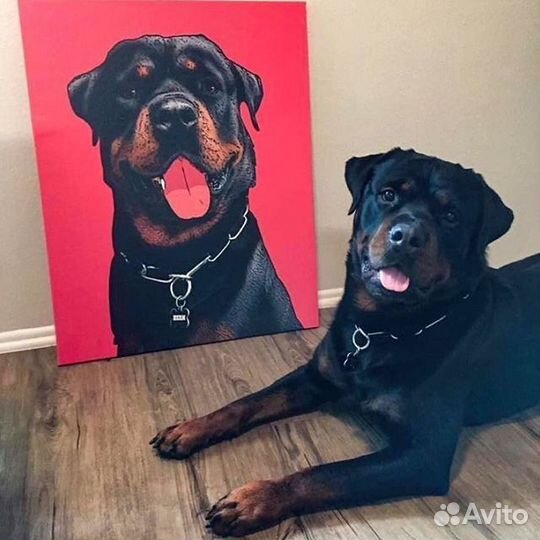 Портрет питомца