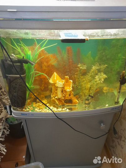 Аквариум