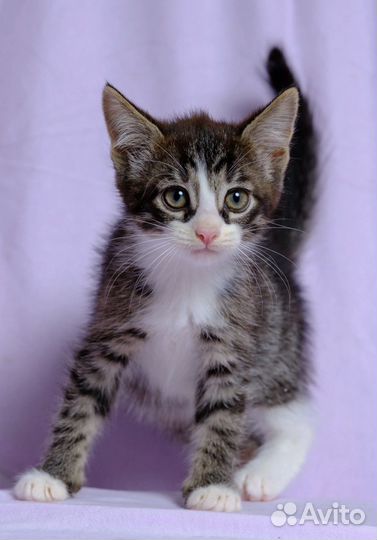 Мюнхен ищет дом