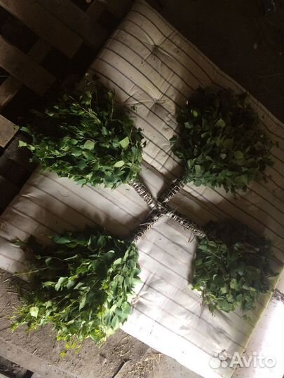 Березовые Веники 