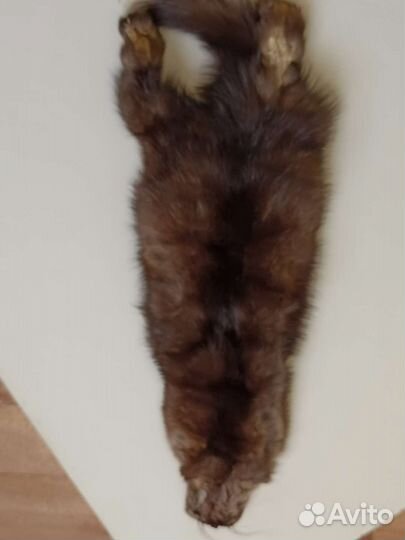 Соболиная шкура