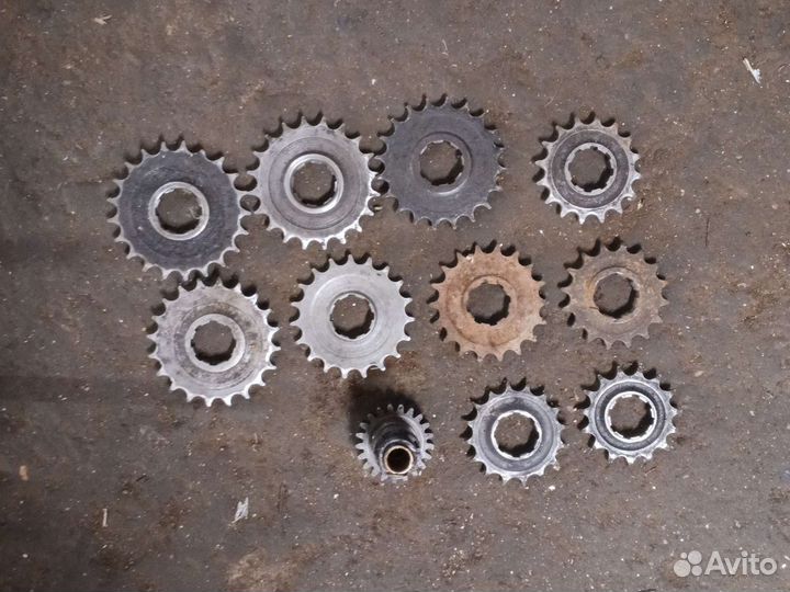 Ведущие звёзды Иж