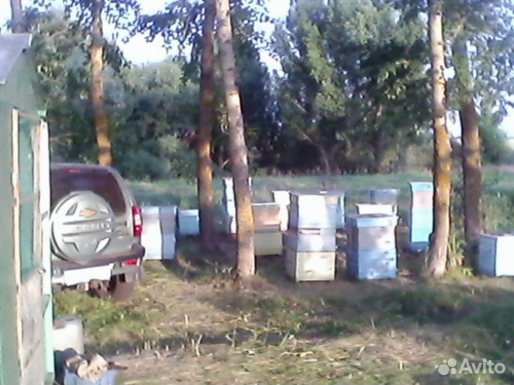 Пчеловодческий инвентарь