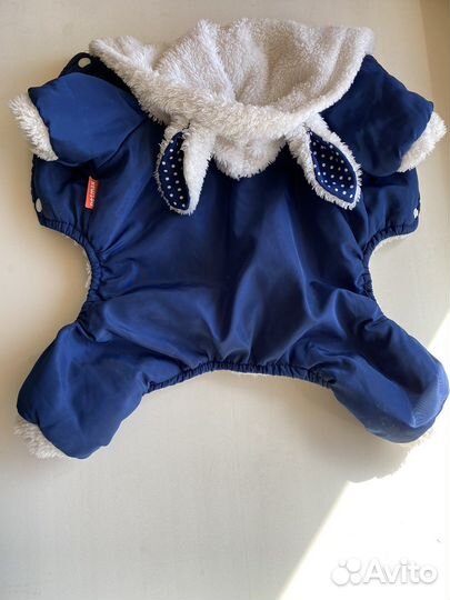 Одежда для собак