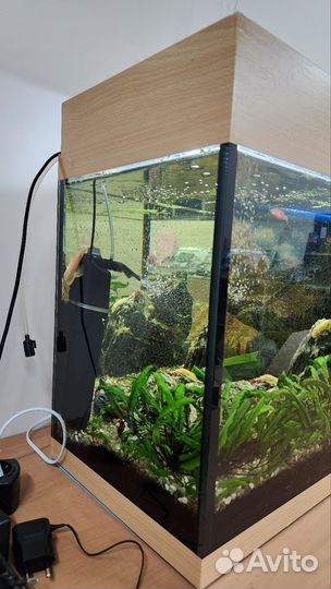 Аквариум 100л