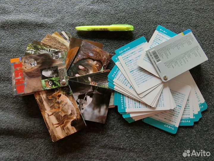 Карточки с животными на японском