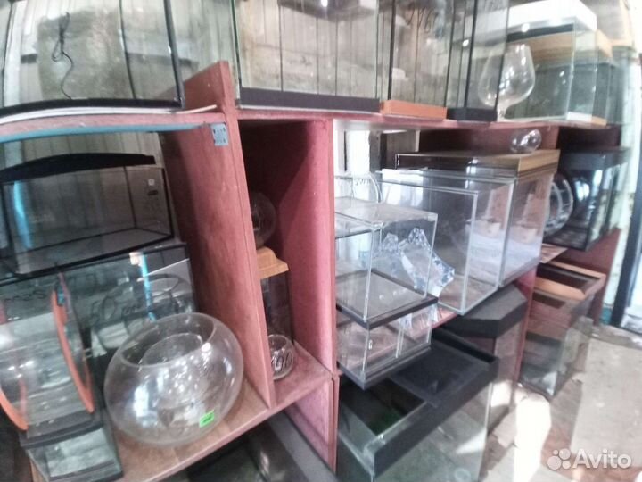 Аквариумы на заказ