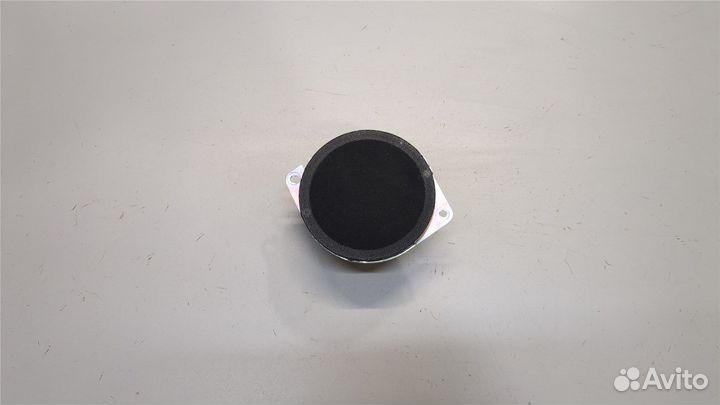 Динамик Dodge Charger 2014, 2016