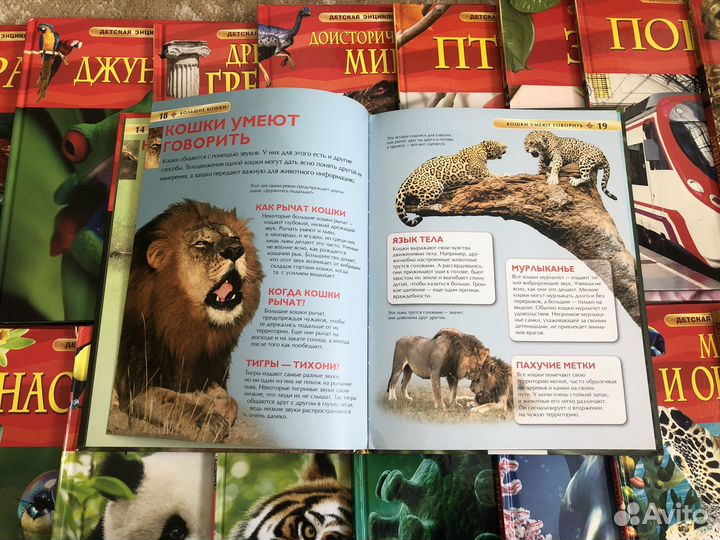 Энциклопедия росмэн