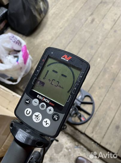 Minelab equinox 800