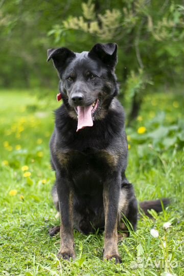 Тот самый парень который не оборачивается на взрыв