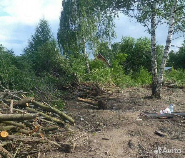 Спил деревьев/Расчистка/Дробилка веток