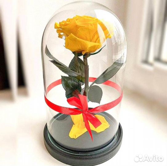 Розы в колбе разные