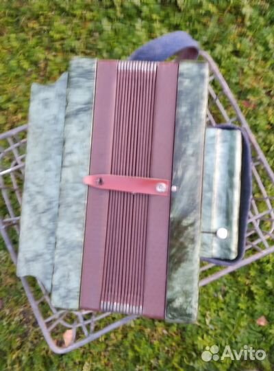 Гармонь детская