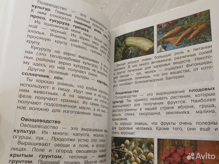 Учебник Мир вокруг нас 4 класс