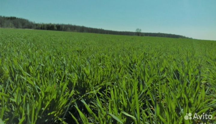 Участок под Глэмпинг, базу отдыха