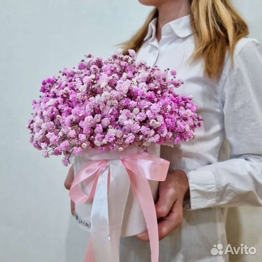 Гипсофила в коробочке. Цветы. Букет