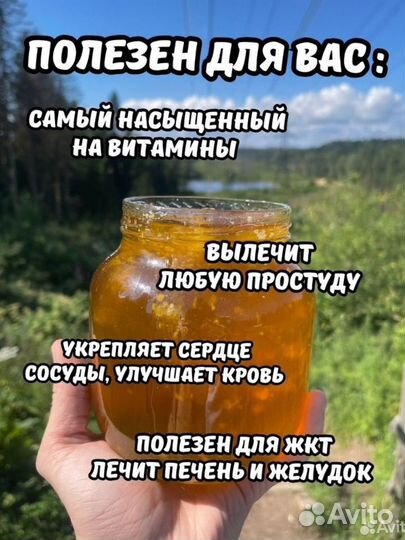 Отговорю покупать Дикий Бортевой мед