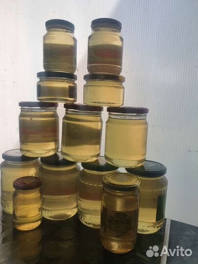 Мед разнотравье качка июль 2023