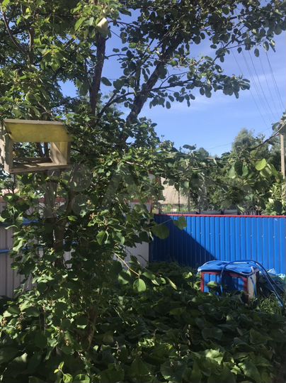 Дом 100 м² на участке 6 сот.