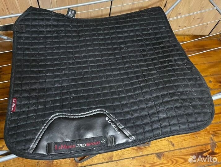 Комплект крутой амуниции для лошади