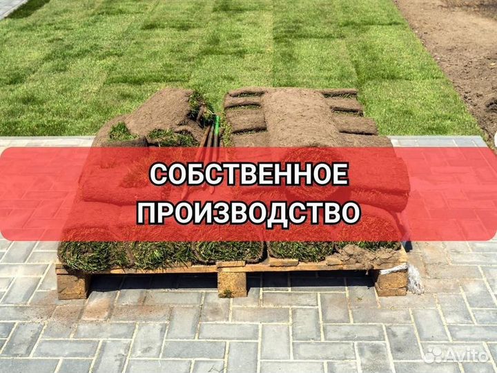 Рулонный газон от производителя элитный