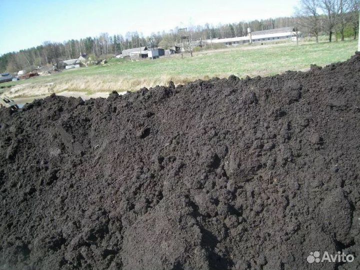 Чернозем
