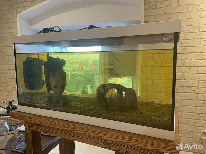 Аквариум eheim