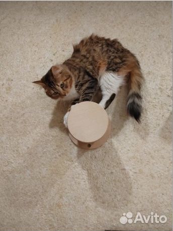 Когтеточка настенная