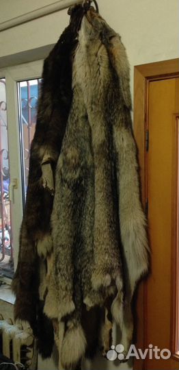 Шкурка животного