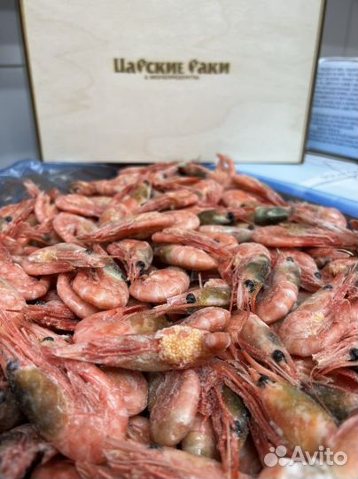Креветка гренландия икряная