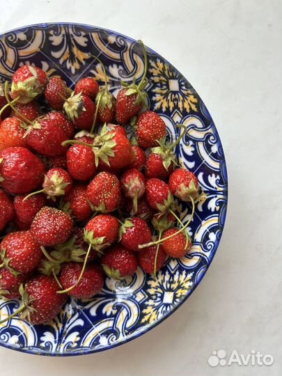 Продаю дачные цветы, кустарники