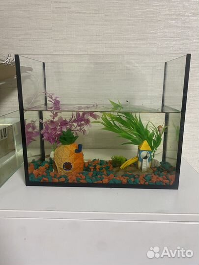 Аквариум,украшение для аквариума, рыбка