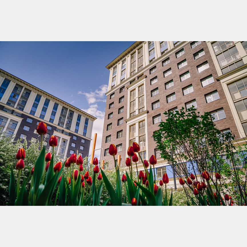 2-к. квартира, 70,1 м², 4/12 эт.