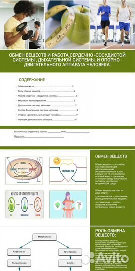 Разработка, оформление, создание презентаций